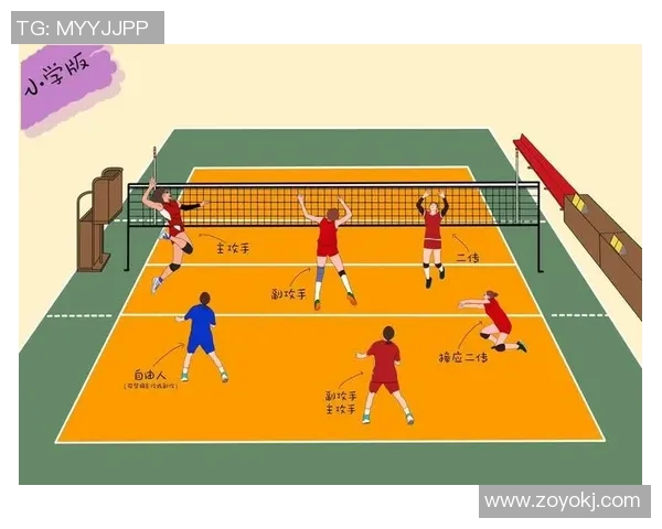 成都排球队排球战术解析与节奏体系的深度剖析