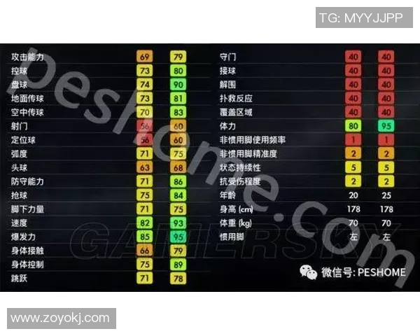 南京足球队实力深度解析与其他球队的对比分析