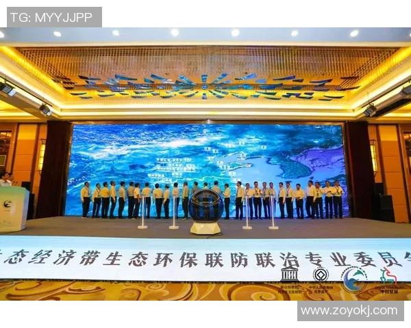 武汉羽毛球队区域防守创新之路：战术变革与团队协作的深度解析