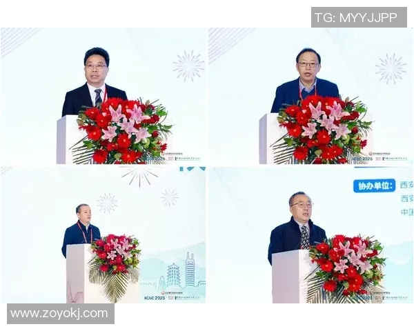 深入分析西安排球队的运营策略与战术打法探讨