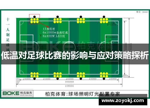 低温对足球比赛的影响与应对策略探析